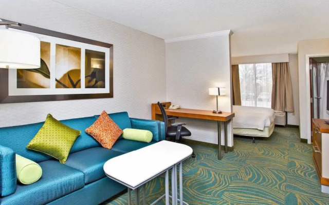 SpringHill Suites by Marriott Chicago Southwest at Burr Ridge/Hinsdale