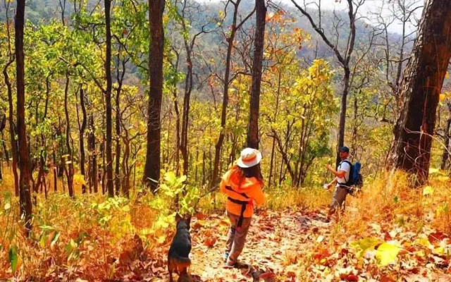 Crossroads House - Hostel