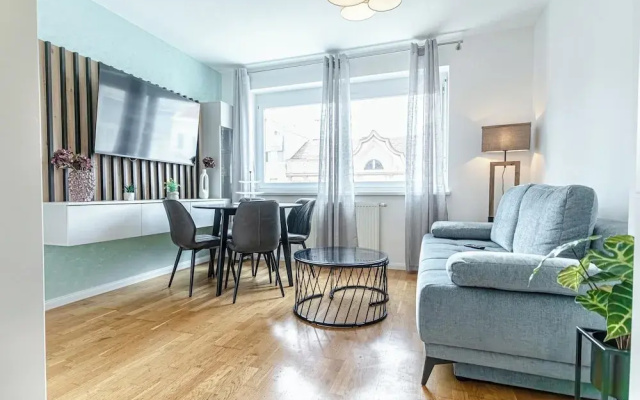 Stylish 1BR 1LR Vienna Center Homes