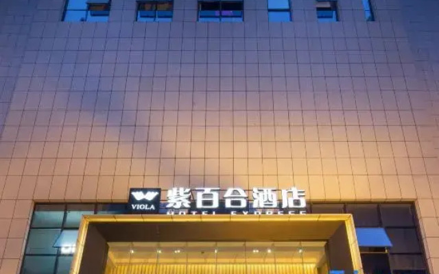 Viola Hotel Express