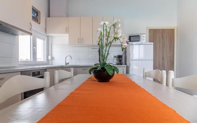 Berat Apartment