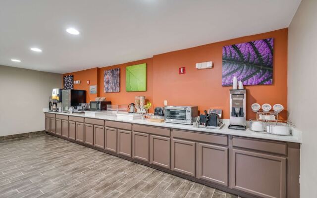 Microtel Inn & Suites by Wyndham Decatur