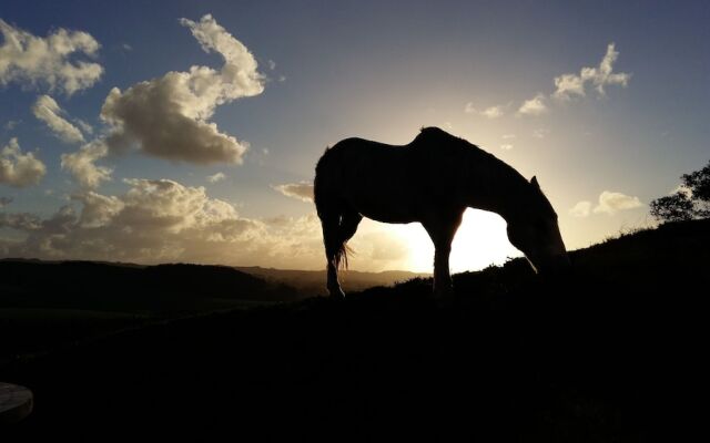 Pukeatua Farmstay