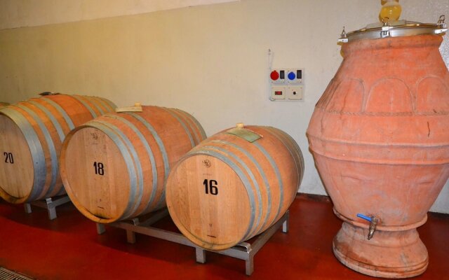 Charming Villa in Tuscany With Swimming Pool