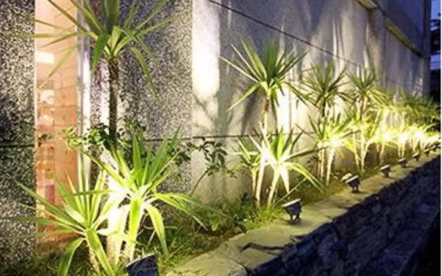 Cocotree Homestay