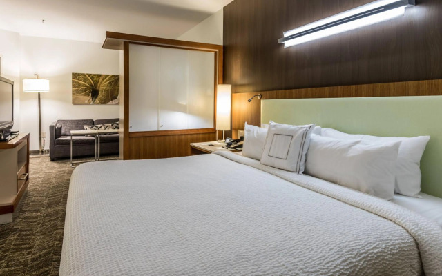 Springhill Suites Statesboro University Area