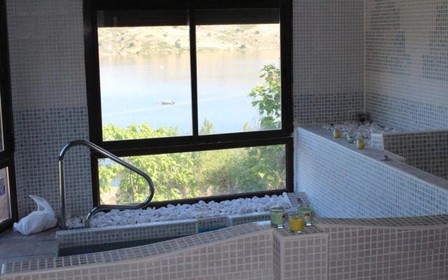 El Rincon de Palmacio