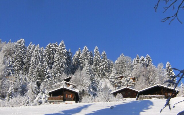 Chalet 1004 Mol Son-sur-gruy res