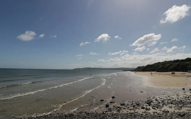 Llwyn Eithin