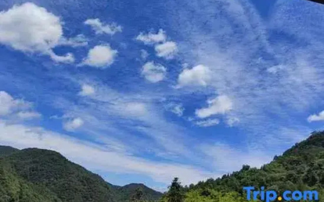 Yinxian Baicaotang Homestay