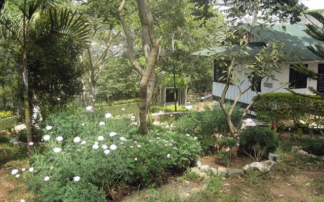 Pine Breeze Cottages