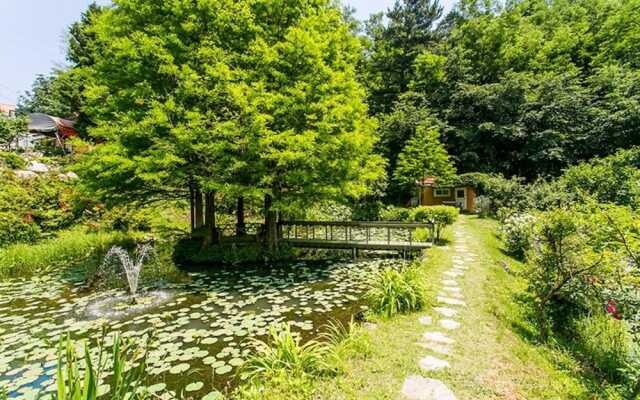 Donghae Red Clay Gueasthouse Pension