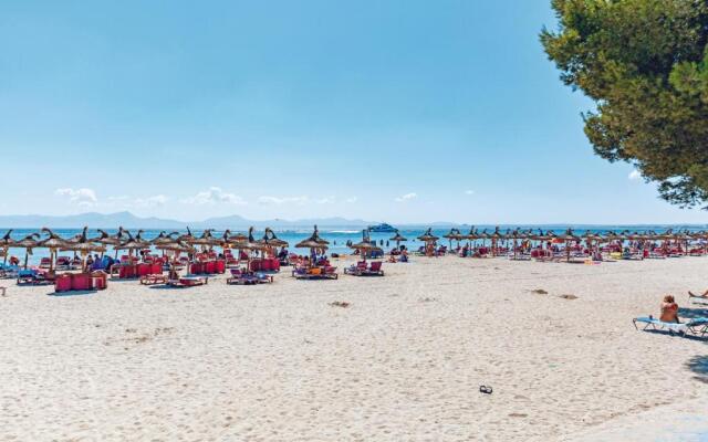 Ferrer Lime Playa de Alcudia