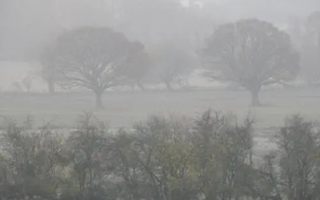 The Farm Snead Bed & Breakfast