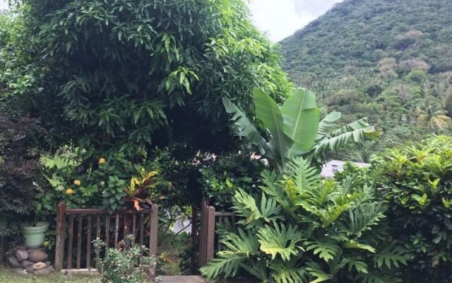 Cocoa  Pod Studio