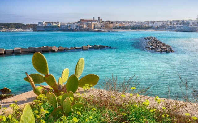 Zudrea Apartment Near