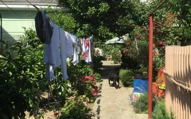 Guest House Margarita