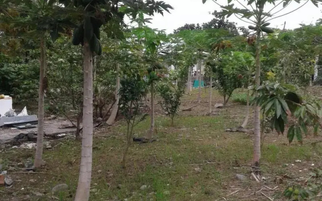 Taitung Linyuan B&B