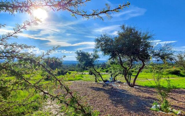 ZenZontle GlampingSMA By Rotamundos