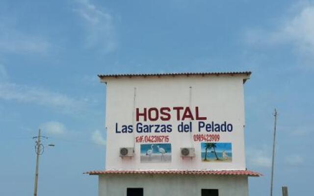 Hostal Las Garzas Del Pelado