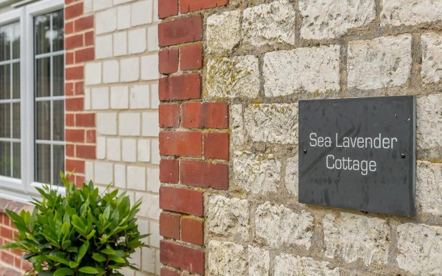 Sea Lavender Cottage-UK11930