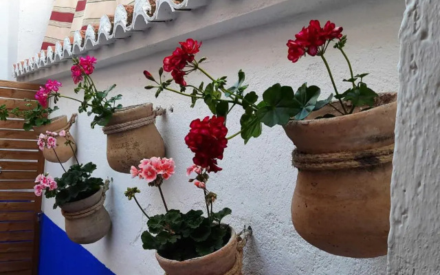 La Encomienda de Almagro II