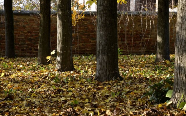 9 Muse Bed and Breakfast