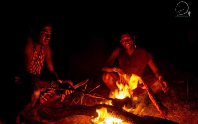 Amanya 1 -bed King Lion Tent