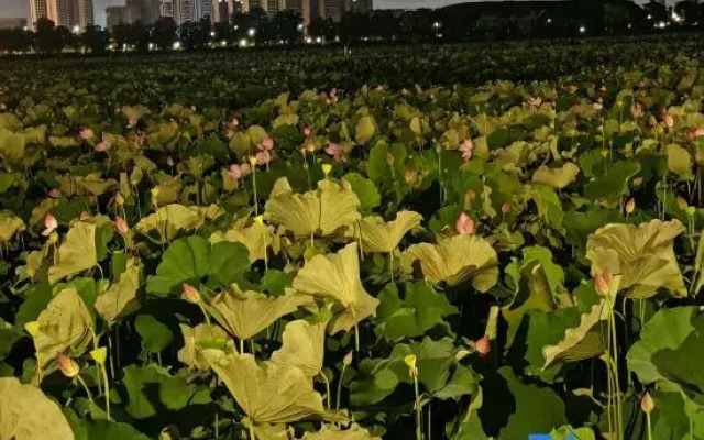 Paco  Hotel (Jiangmen Xinhui Times)
