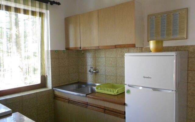 Apartment Near Novalja Center