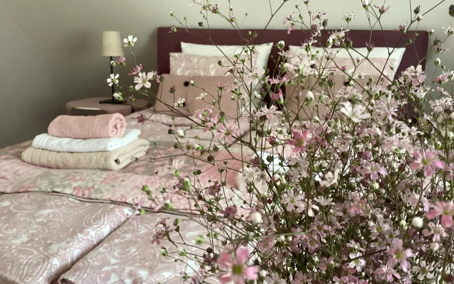Rooms for Rent near Budapest