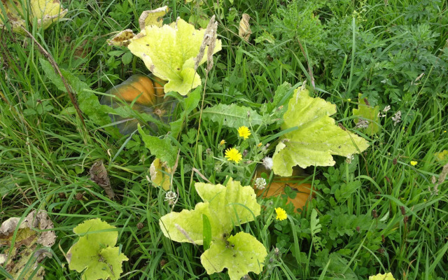 Semi-detached House, St. Meloir-des-ondes