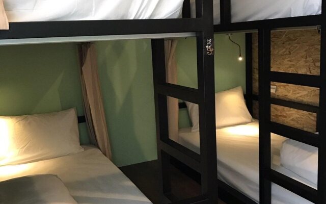Tourist Bunny - Hostel