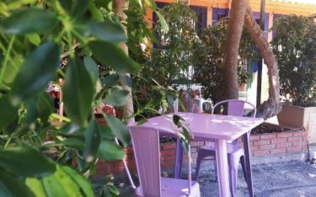 Hotel Las Palmeras