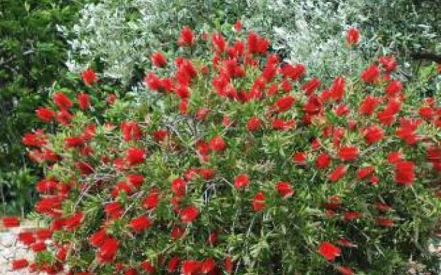 Rustic Holiday Home Miketa