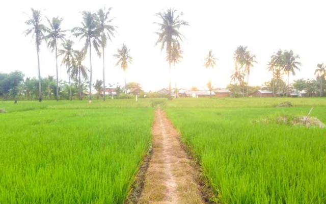Penginapan Srikandi Sawarna Homestay