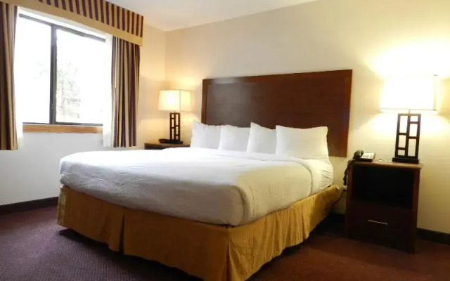 Holiday Inn Lubbock