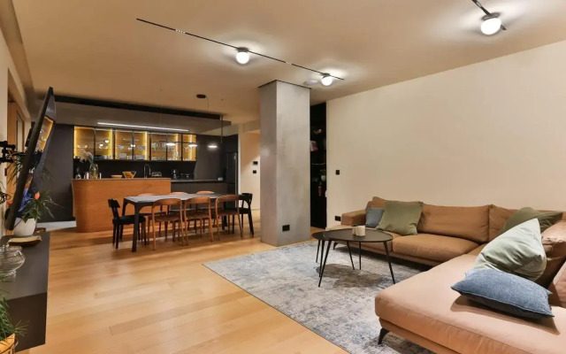 Luxury penthouse V