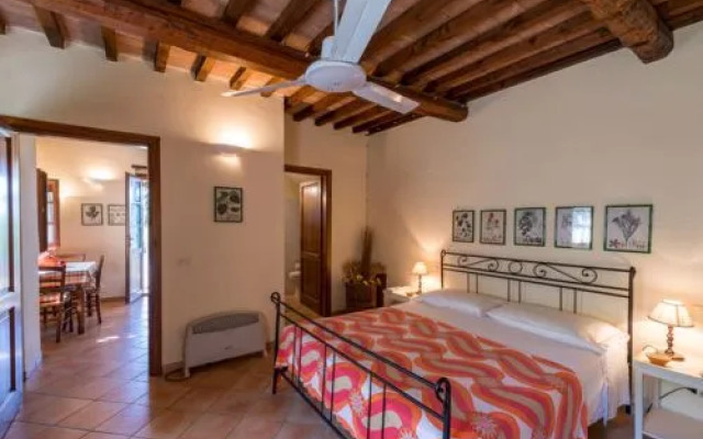 House Edera Campagnatico