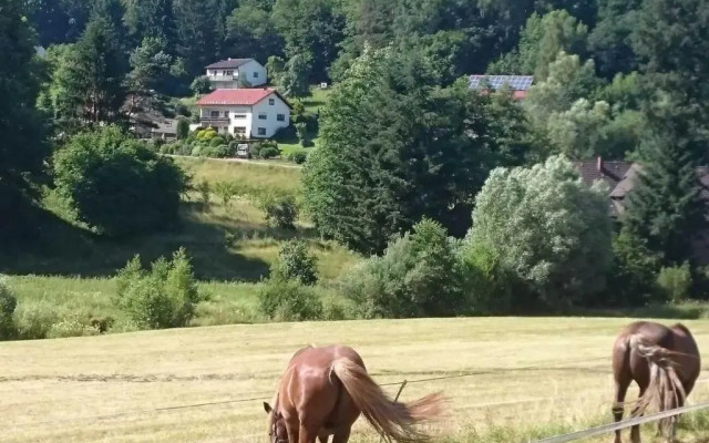 Ferienwohnung Haus Patry