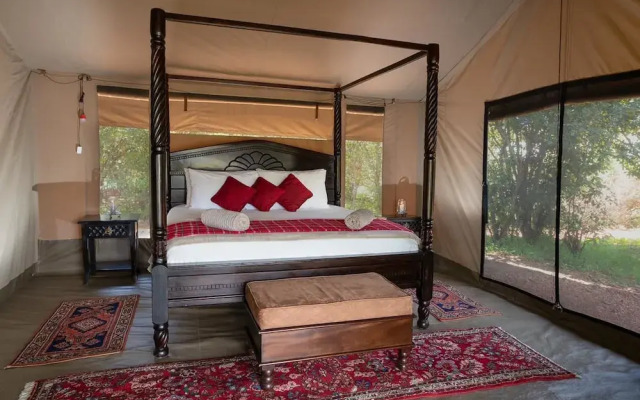 Hammerkop Migration Camp