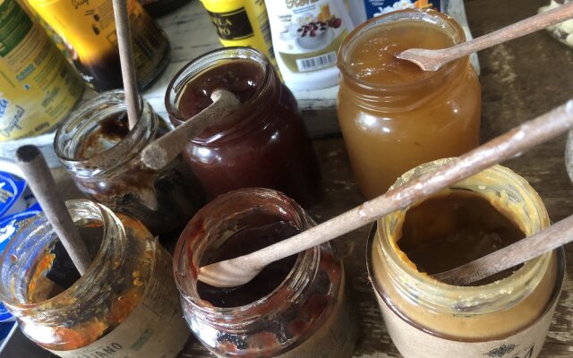 casa de temporada vovó iris