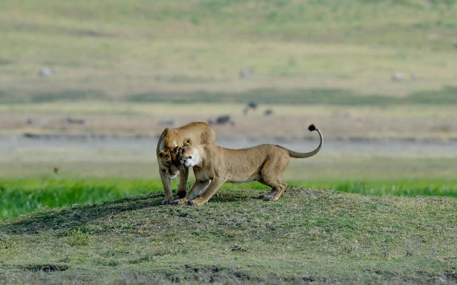 Ngorongoro Serena Safari Lodge
