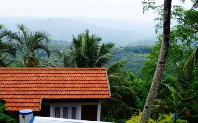 Contour Jungle Resort