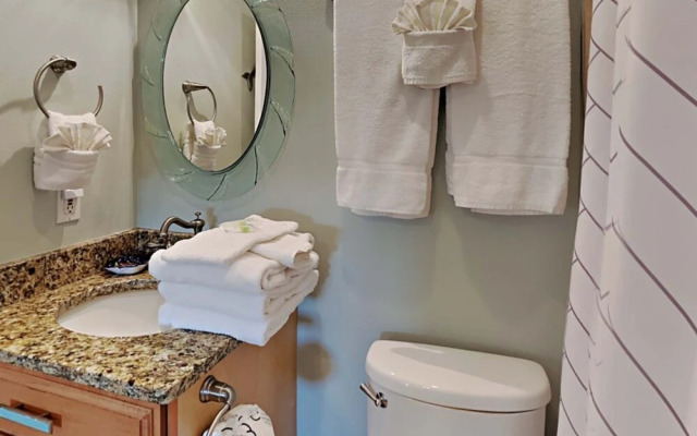 Sharp Reef #4 - Endless Summer