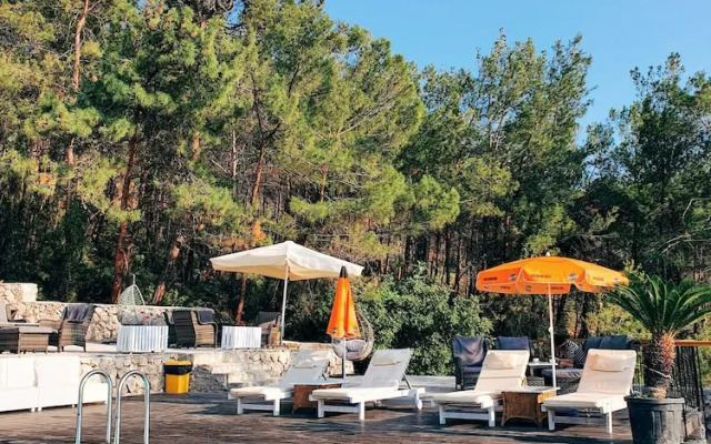Rocas Roja Camping