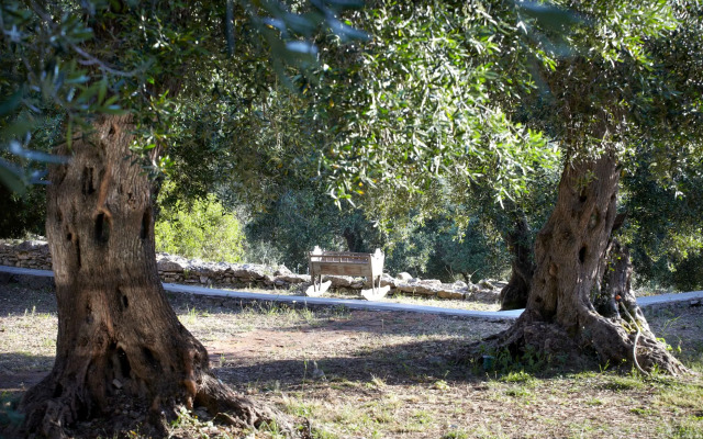 Torri e Merli