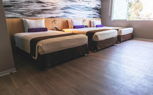 Palmetto Hotel Business San Borja