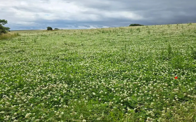 6 Person Holiday Home in Gorlev