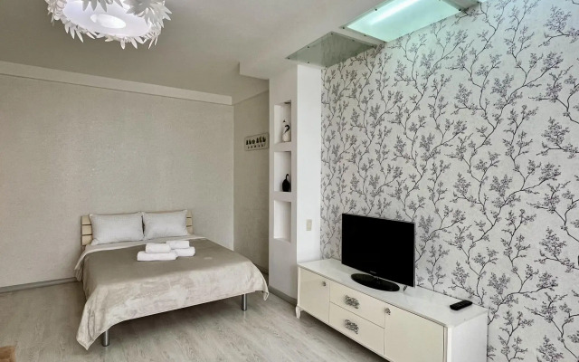 Однокомнатная в историческом центре